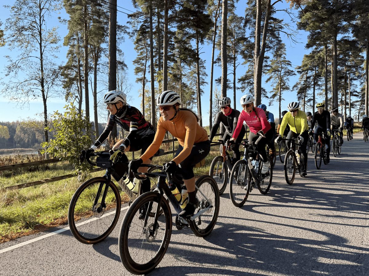 Pyöräilyryhmä ajaa letkassa mäntymetsän reunustamalla tiellä.