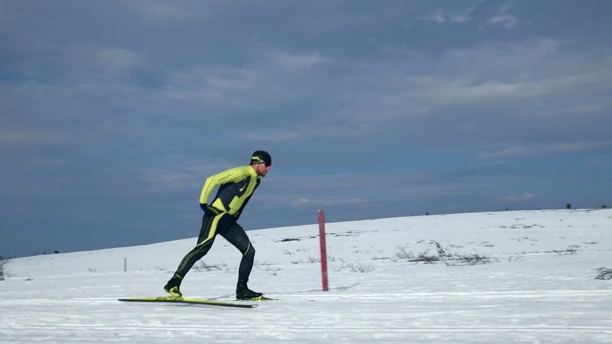 Siitossteppi